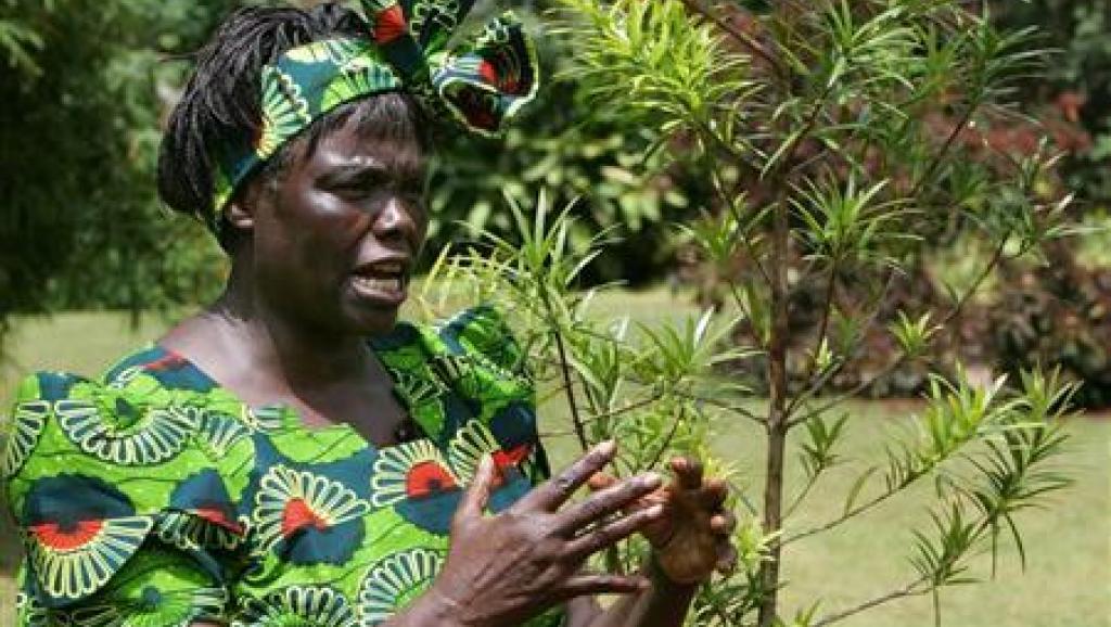 Wangari Mathaï